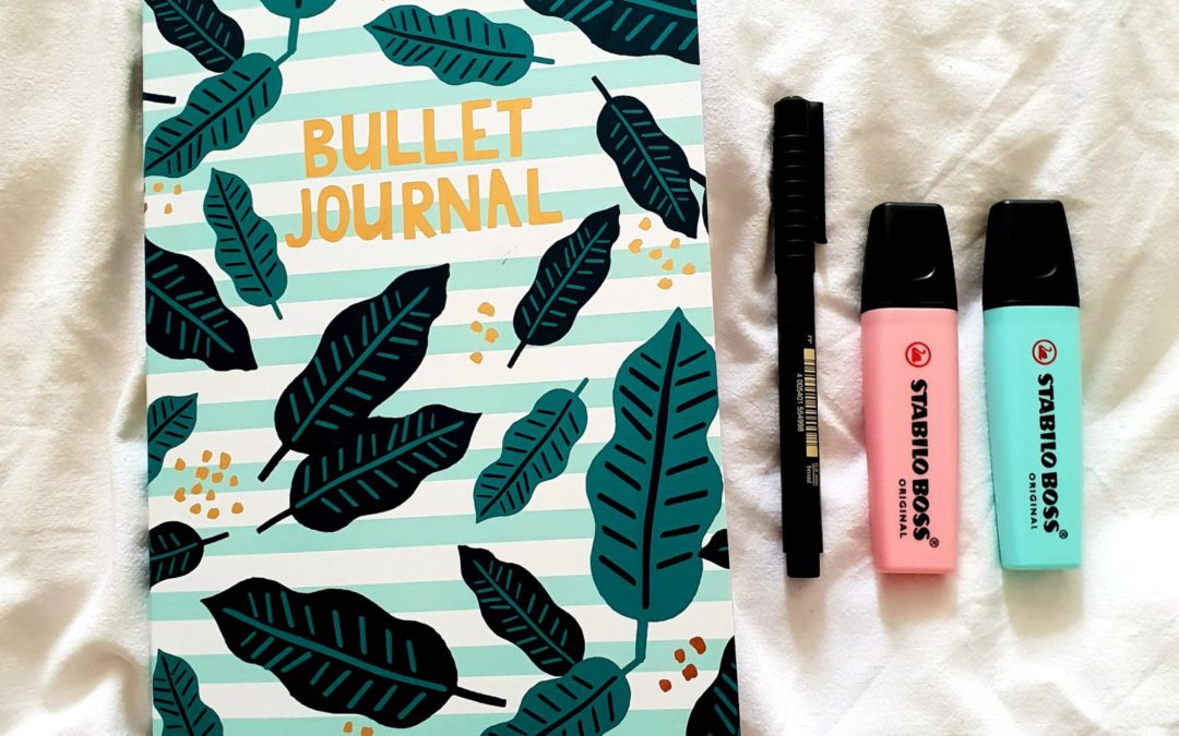 DIY: Review Hema Bullet Journal